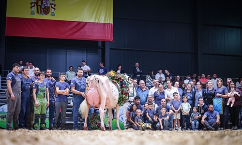 Venturo Happen Rosani (Casa Venturo) gana para Asturias el Concurso...