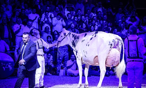 Venturo Happen Rosani (Casa Venturo) gana para Asturias el Concurso...