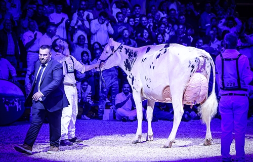 Venturo Happen Rosani (Casa Venturo) gana para Asturias el Concurso...