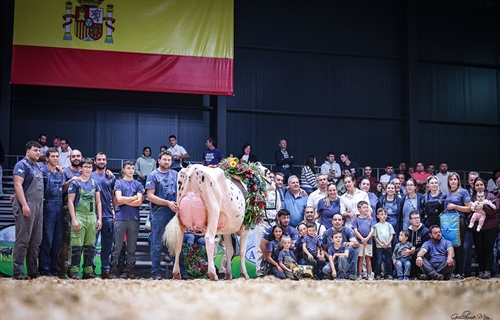 Venturo Happen Rosani (Casa Venturo) gana para Asturias el Concurso...