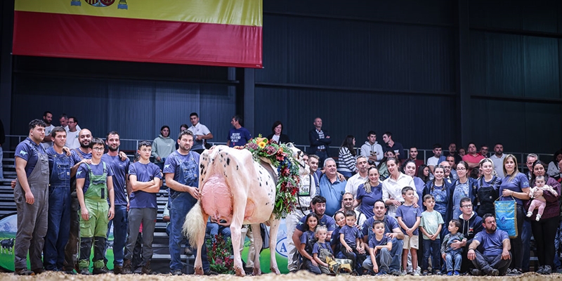 Venturo Happen Rosani (Casa Venturo) gana para Asturias el Concurso Nacional de Raza Frisona 2025