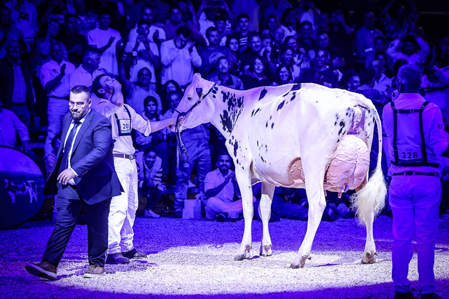 Venturo Happen Rosani (Casa Venturo) gana para Asturias el Concurso...