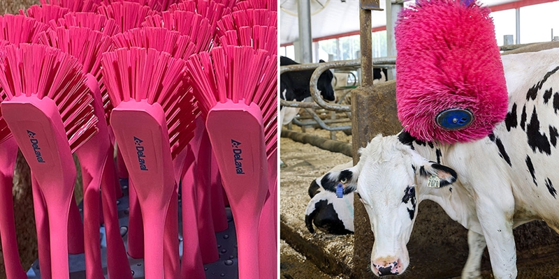 Desde DeLaval Espa�a y Portugal contin�an apoyando la lucha contra el c�ncer de mama