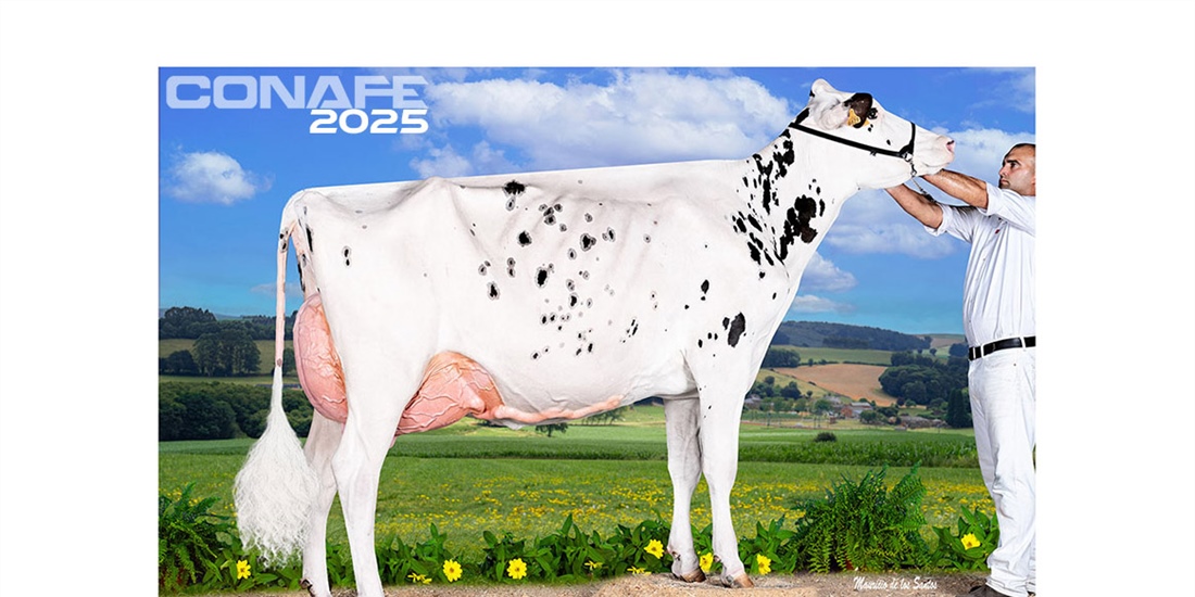 Fotos oficiales del 45 Concurso Nacional de la Raza Frisona CONAFE 2025