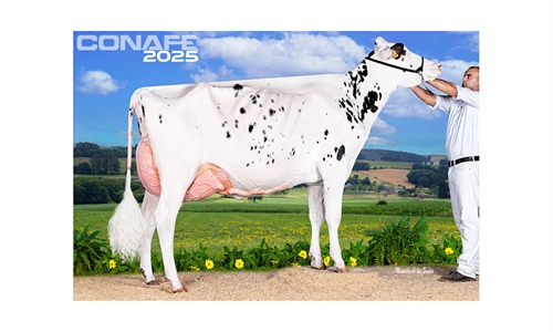 Fotos oficiales del 45 Concurso Nacional de la Raza Frisona CONAFE 2025