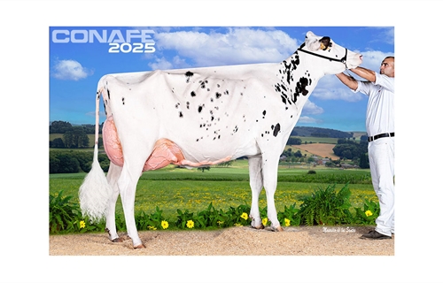 Fotos oficiales del 45 Concurso Nacional de la Raza Frisona CONAFE 2025