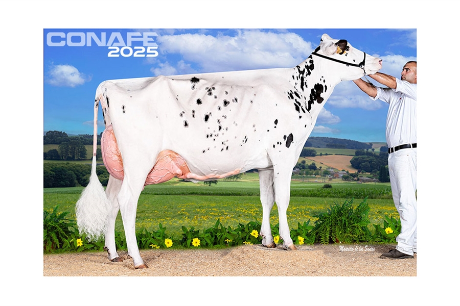 Fotos oficiales del 45 Concurso Nacional de la Raza Frisona CONAFE 2025