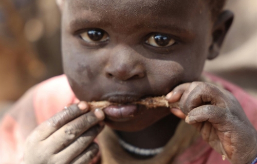 #RealidadGanadera La seguridad alimentaria est en peligro: las...