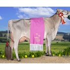 Justo BS Optimal Belinda (Casa Justo Fastias), Vaca Gran Campeona Nacional de Raza Parda 2025