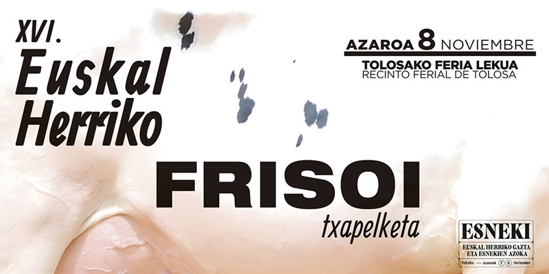 XVI Concurso de Ganado Frisn de Euskal Herria 2025