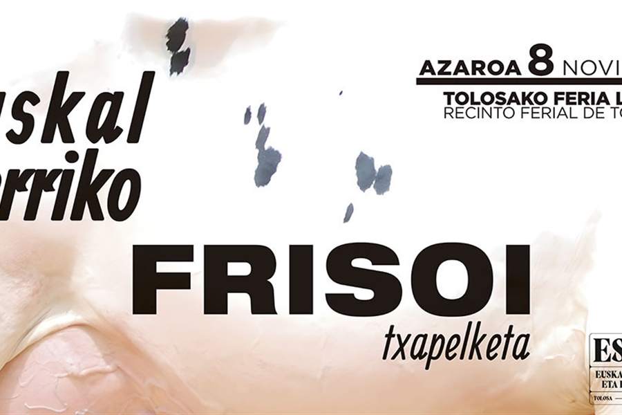 XVI Concurso de Ganado Frisn de Euskal Herria 2025