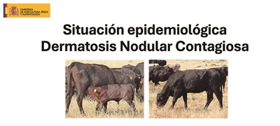 Informacin oficial del MAPA sobre la Dermatosis Nodular Contagiosa