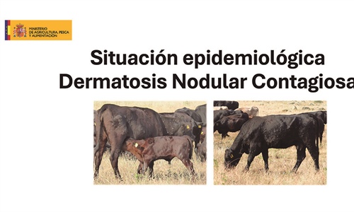 Informacin oficial del MAPA sobre la Dermatosis Nodular Contagiosa