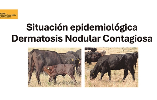 Informacin oficial del MAPA sobre la Dermatosis Nodular Contagiosa