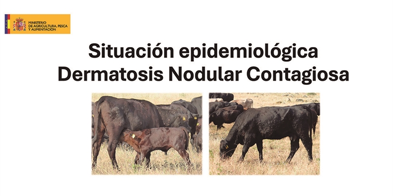 Informacin oficial del MAPA sobre la Dermatosis Nodular Contagiosa