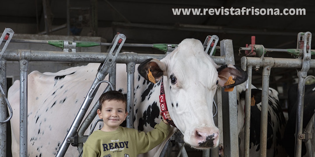 Casa Venturo, el amor por las vacas como estilo de vida