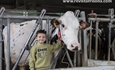 Casa Venturo, el amor por las vacas como estilo de vida