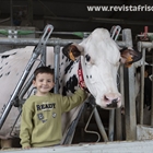 Casa Venturo, el amor por las vacas como estilo de vida