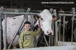 Casa Venturo, el amor por las vacas como estilo de vida