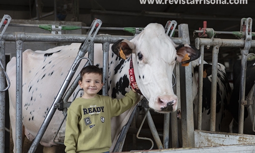 Casa Venturo, el amor por las vacas como estilo de vida