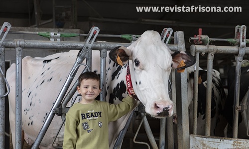 Casa Venturo, el amor por las vacas como estilo de vida