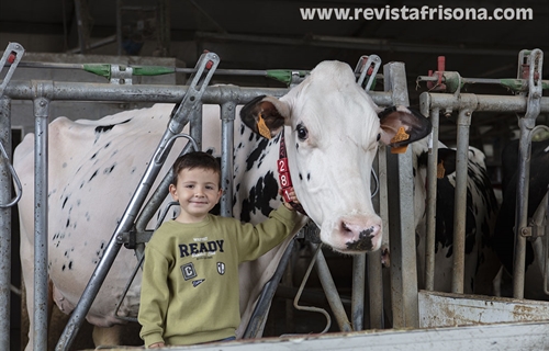 Casa Venturo, el amor por las vacas como estilo de vida