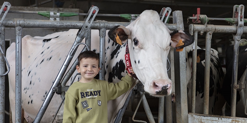 Casa Venturo, el amor por las vacas como estilo de vida