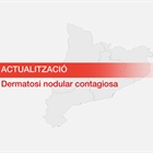 Comienza la vacunacin del ganado en el nuevo radio de proteccin de la Dermatosis Nodular Contagiosa