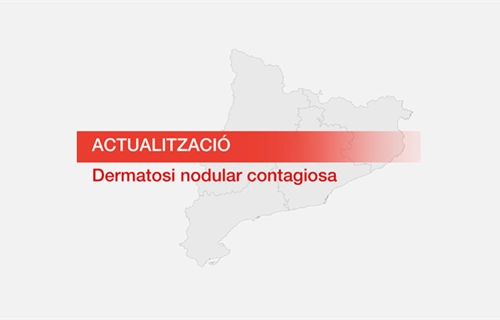 Comienza la vacunacin del ganado en el nuevo radio de proteccin de la...