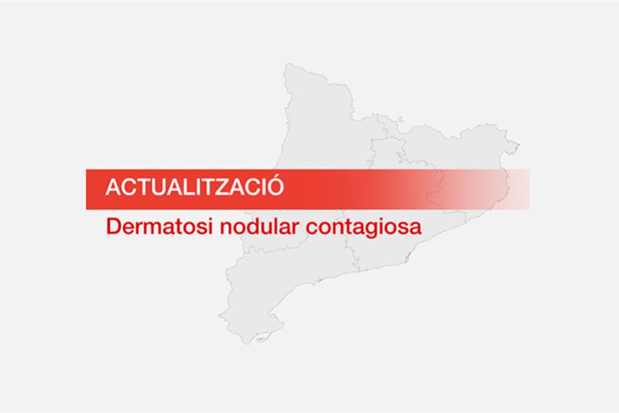 Comienza la vacunacin del ganado en el nuevo radio de proteccin de la...