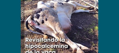 Revisitando la hipocalcemia de la vaca