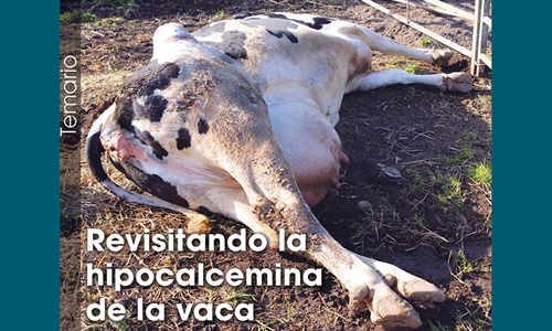 Revisitando la hipocalcemia de la vaca