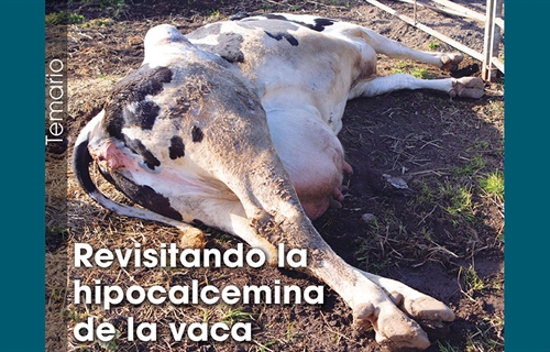Revisitando la hipocalcemia de la vaca