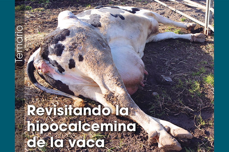 Revisitando la hipocalcemia de la vaca