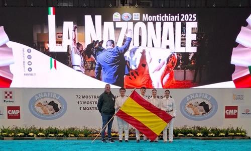 Carlos Vega, campen absoluto del Open Junior Show 2025 de Montichiari...