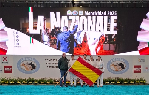 Carlos Vega, campen absoluto del Open Junior Show 2025 de Montichiari...