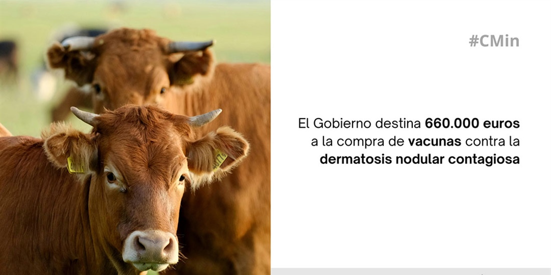 El Gobierno de Espaa destina 660.000 euros a la compra de vacunas...