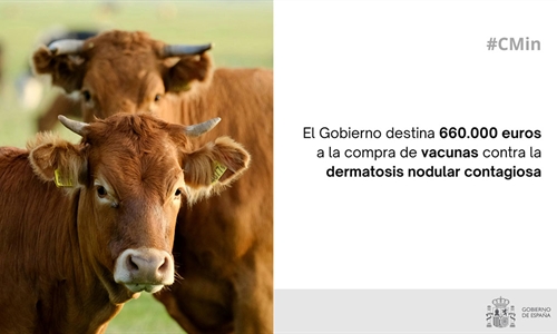 El Gobierno de Espaa destina 660.000 euros a la compra de vacunas...
