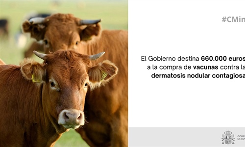 El Gobierno de Espaa destina 660.000 euros a la compra de vacunas...