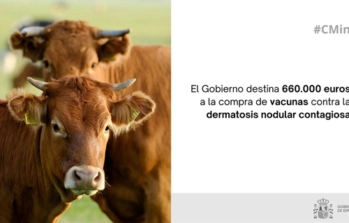 El Gobierno de Espaa destina 660.000 euros a la compra de vacunas...