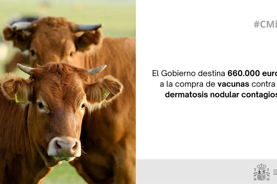El Gobierno de Espaa destina 660.000 euros a la compra de vacunas...