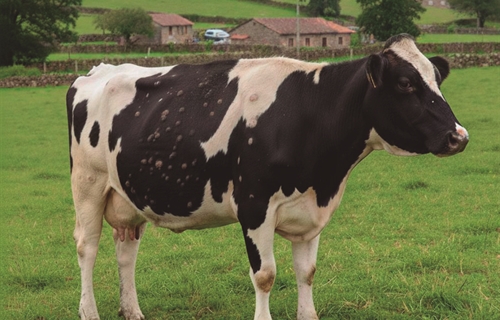 La Xunta de Galicia se rene con el sector ganadero para explicar las...