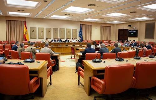 Luis Planas reclama en el Congreso una PAC con presupuesto suficiente y...