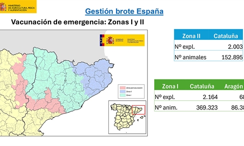 La Comisin Europea autoriza a Espaa la vacunacin de emergencia...