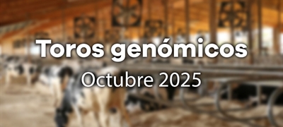 Nuevos toros genmicos con Prueba Oficial: Evaluacin genmica octubre 2025