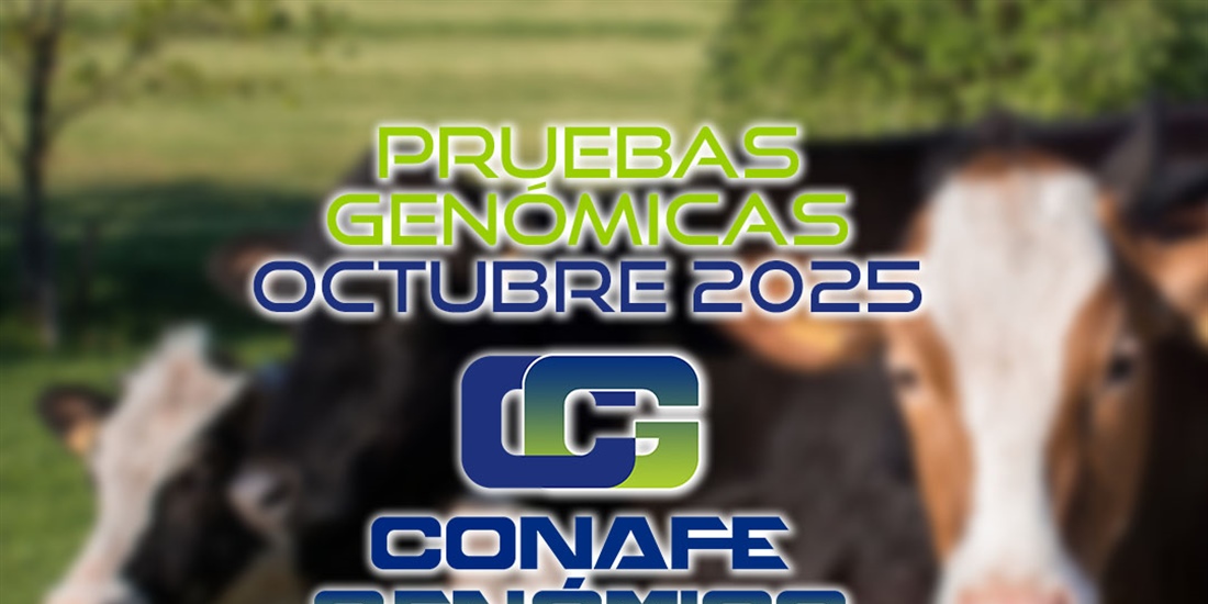 Actualizaci�n de las pruebas gen�micas de Hembras CONAFE octubre 2025