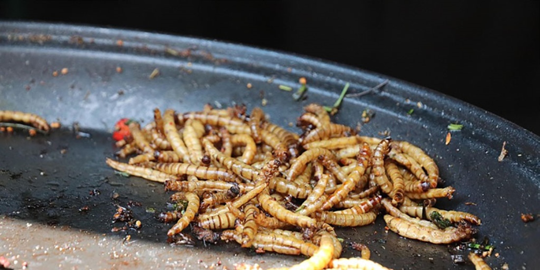 #RealidadGanadera: Un nuevo estudio revela que es poco probable que los...