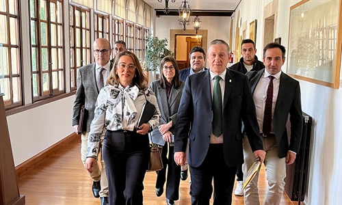 Castilla y Len estudia nuevas medidas por la dermatosis nodular bovina