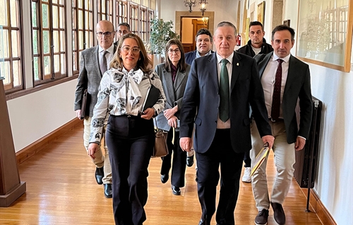 Castilla y Len estudia nuevas medidas por la dermatosis nodular bovina