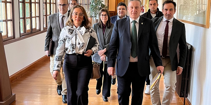 Castilla y Len estudia nuevas medidas por la dermatosis nodular bovina